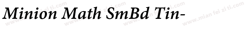 Minion Math SmBd Tin字体转换
